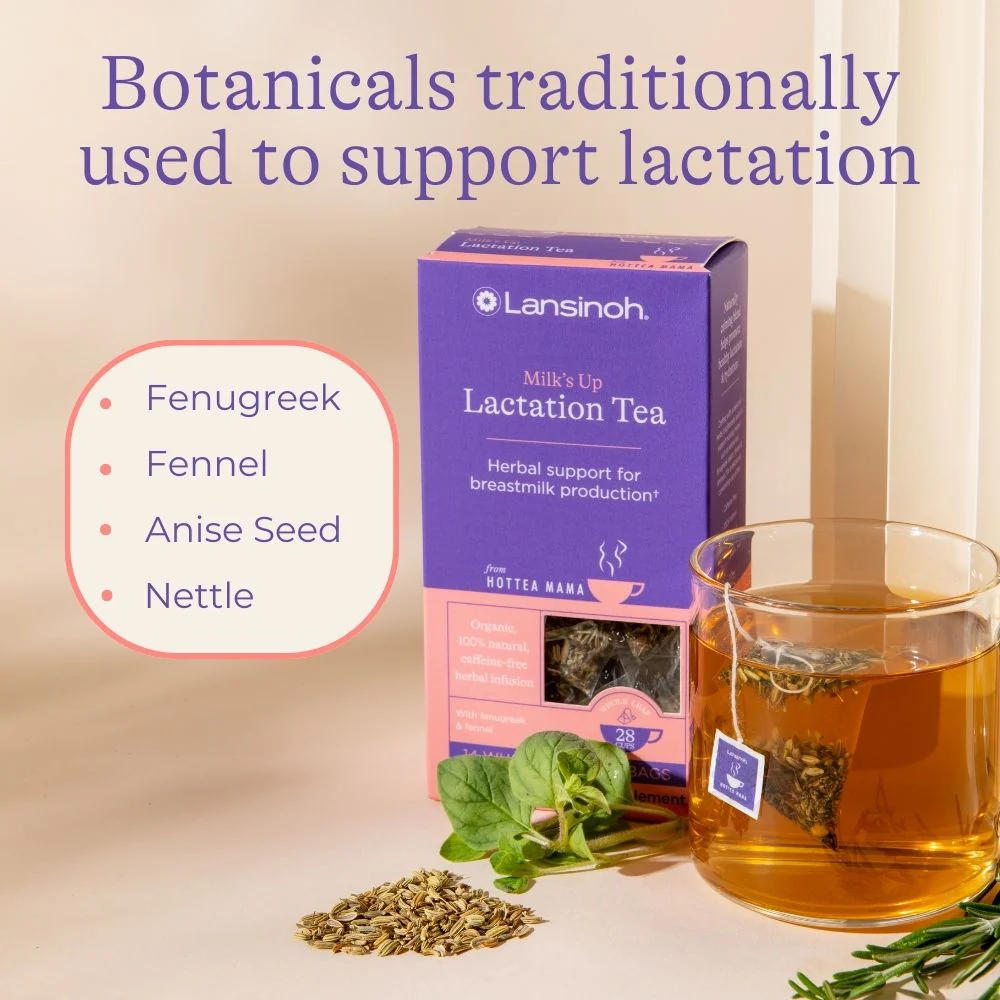 HotTea Mama and Lansinoh Milk's Up lactation tea say with a brewed cup of breastfeeding tea next to it, and text showing that it contains botanicals traditionally used to support lactation, with fenugreek, fennel, aniseed and nettle